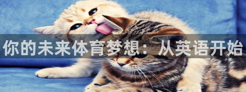 oety欧亿体育官网下载招商电话号码查询：你的未来体