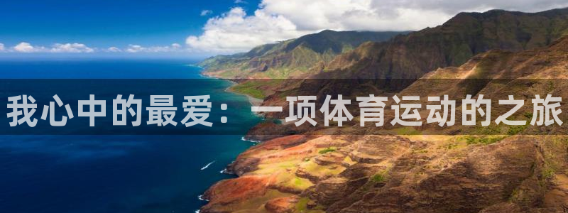 欧亿体育官方正版app新能源：我心中的最爱：一项体育