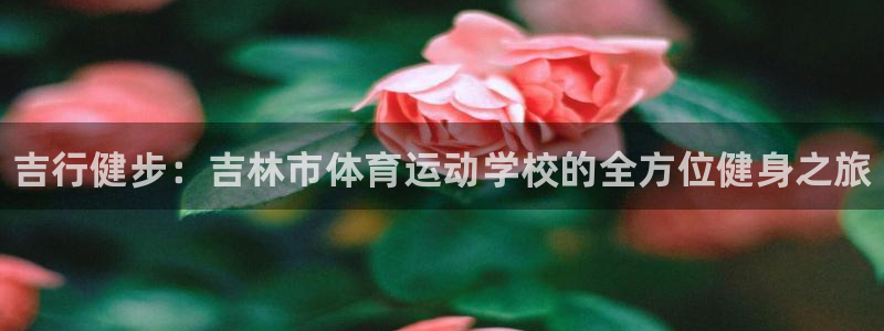 oety欧亿体育官网下载平台注册要钱吗：吉行健步：吉
