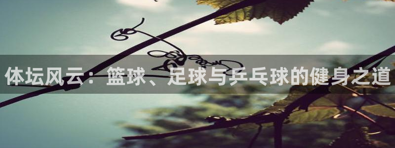 oety欧亿体育官网下载联系电话：体坛风云：篮球、足