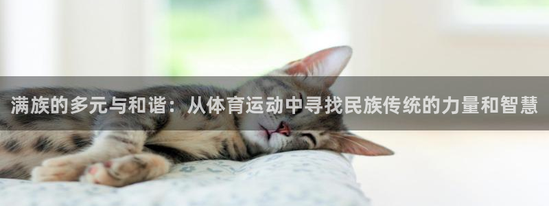 欧亿体育官方正版app神州：满族的多元与和谐：从体育