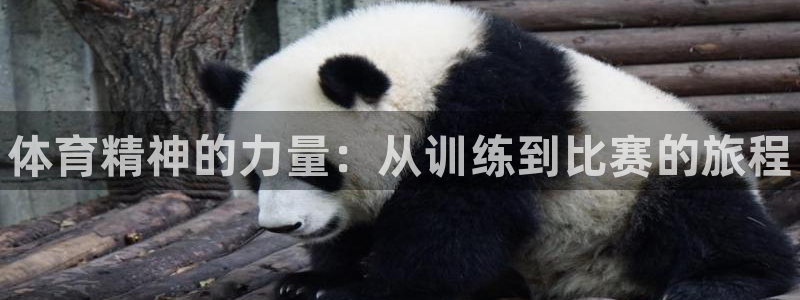 欧亿体育官方正版app集团E.ON