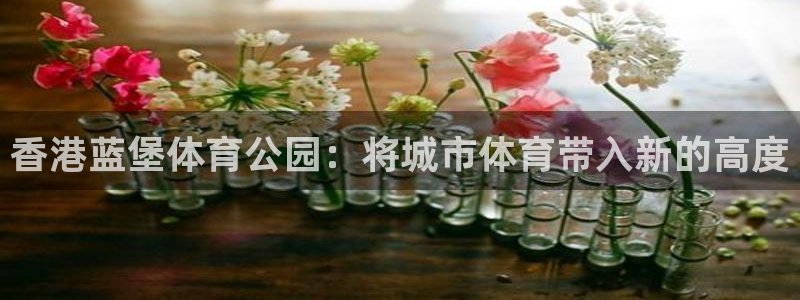 oety欧亿体育官网下载招商电话号码查询：香港蓝堡体育公园：