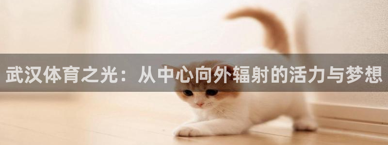 oety欧亿体育官网下载注册：武汉体育之光：从中心向