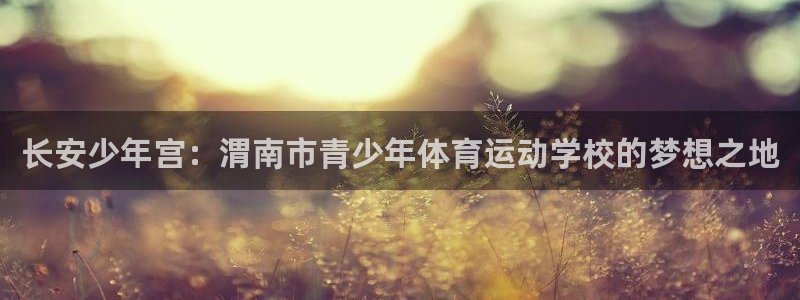 欧亿体育官方正版app新能源：长安少年宫：渭南市青少年体育运