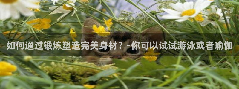 oety欧亿体育官网下载招商电话地址：如何通过锻炼塑造完美身