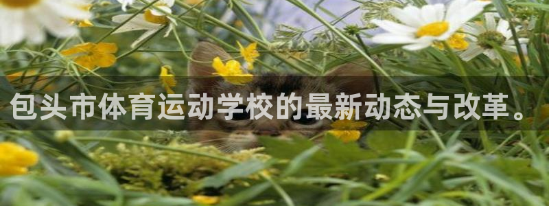 海南oety欧亿体育官网下载