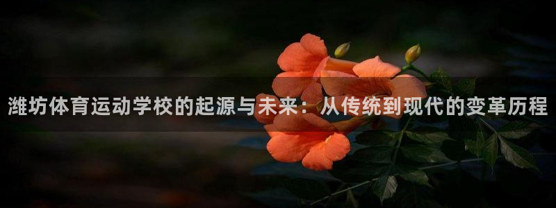 oety欧亿体育官网下载是干嘛的公司：潍坊体育运动学