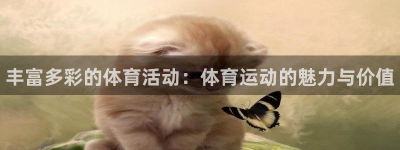 欧亿体育官方正版app官网：丰富多彩的体育活动：体育
