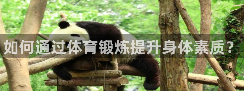 oety欧亿体育官网下载娱乐：如何通过体育锻炼提升身