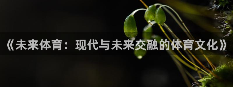 欧亿体育官方正版app娱乐：《未来体育：现代与未来交