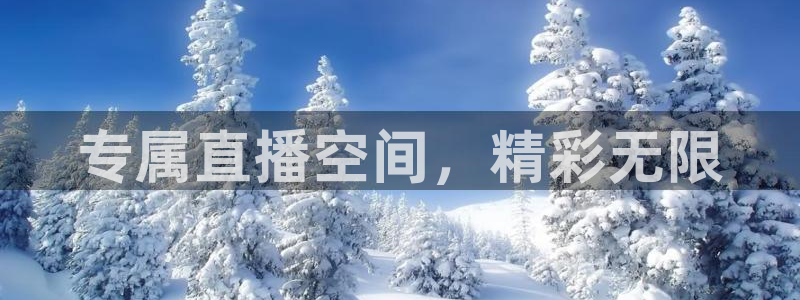 火凤体育赛事直播