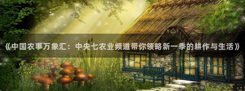 火凤直播五大联赛