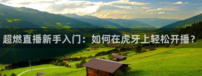 火凤直播体育足球