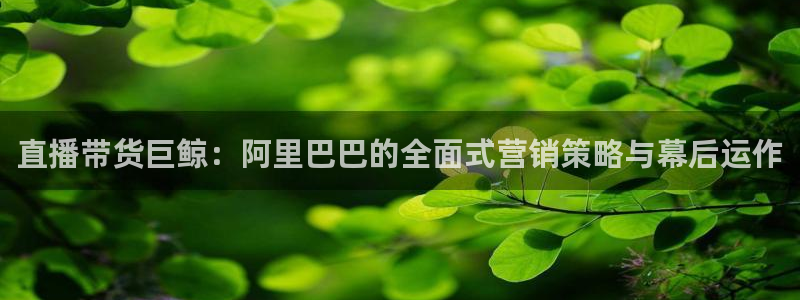 火凤直播五大联赛：直播带货巨鲸：阿里巴巴的全面式营销策略与幕后运作