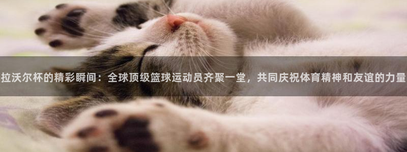 火凤体育nba直播